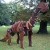 FL14_SP_Matt-Johnson-Baby-Dinosaur-(Check-Map-for-galleries)-(5-of-5) thumbnail