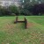 Richard-Serra,-Lock,--Frieze-Sculpture-Park,-Freize-London-2105,-photo-Guy-Sangster-Adams thumbnail